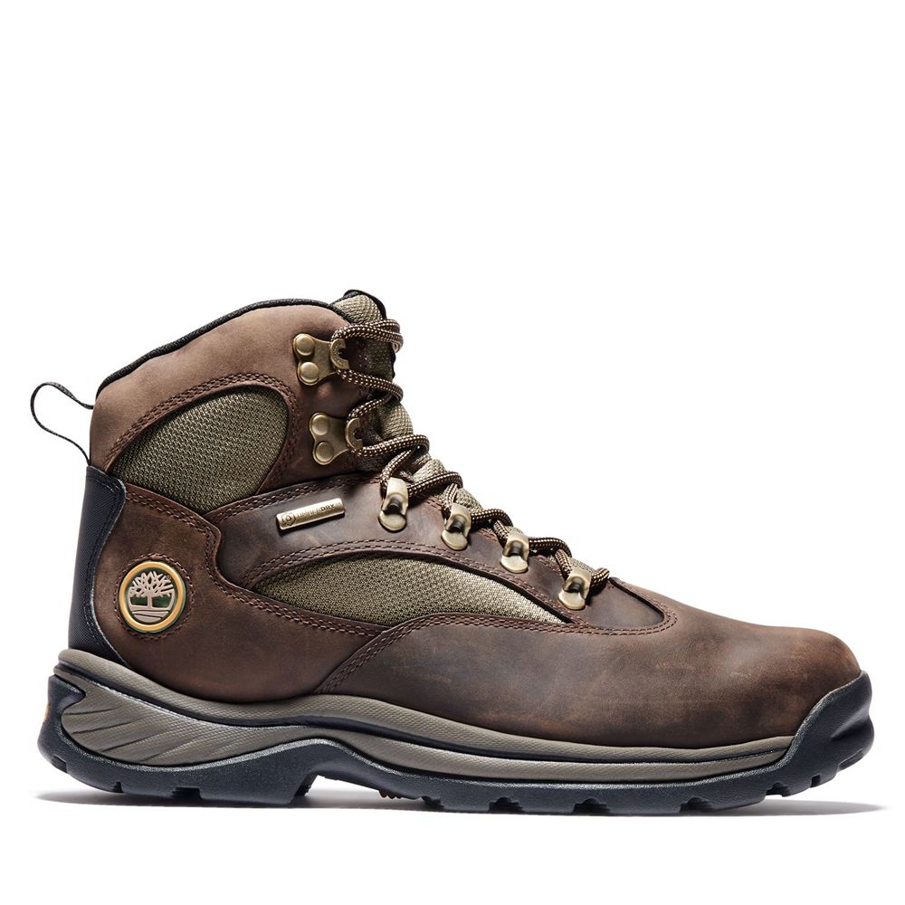 Botas de Montaña Timberland Hombre Chocorua Trail Mid Waterproof Marrones - Chile GXO-023976